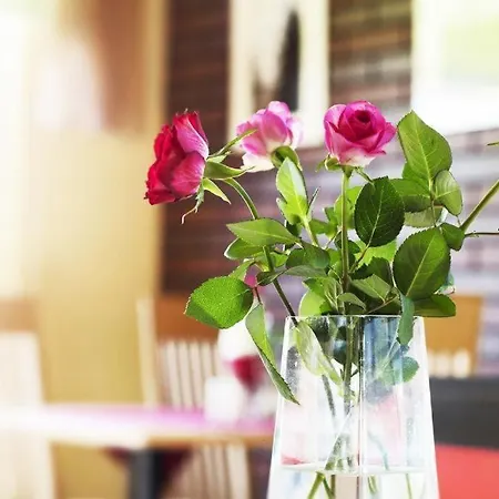 Korona Cieszyn (Silesia)